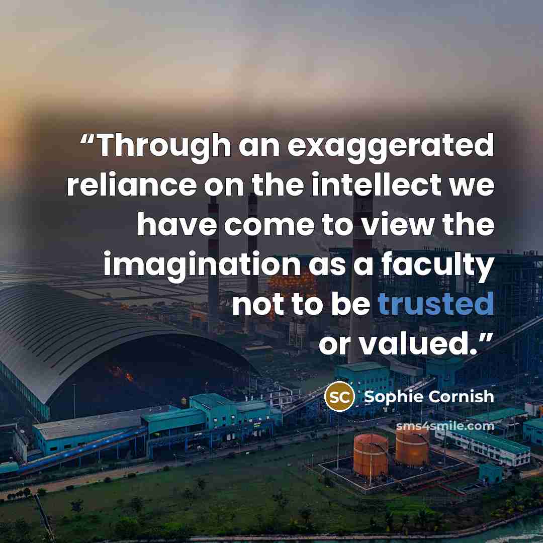 “Through an exaggerated reliance on the intellect we have come to view the imagination as a faculty not to be trusted or valued.” quote by Sophie Cornish