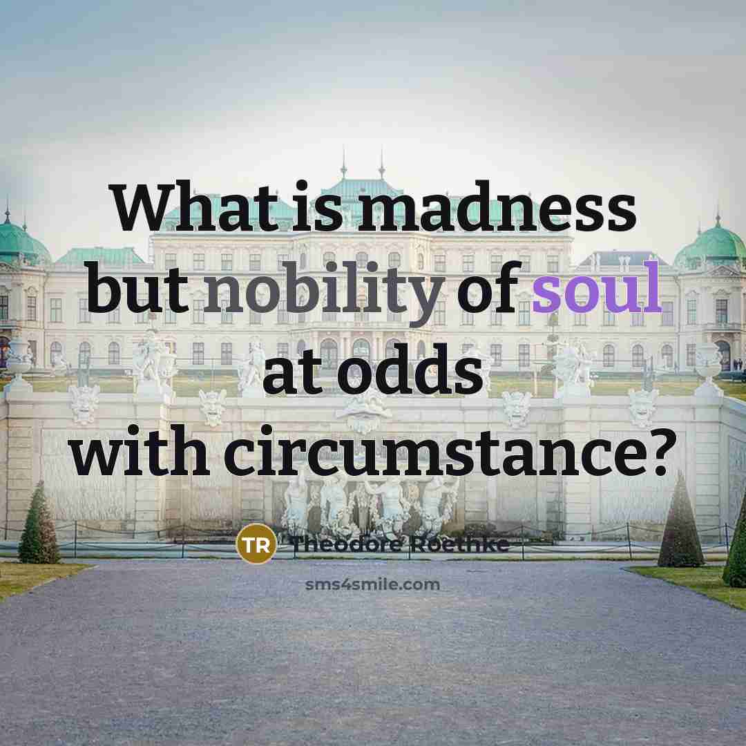 “What is madness but nobility of soul at odds with circumstance?” quote by Theodore Roethke