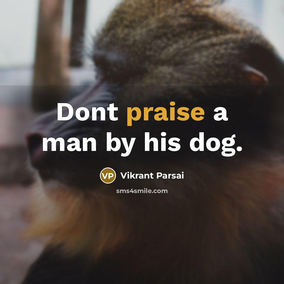 “Dont praise a man by his dog.” quote by Vikrant Parsai
