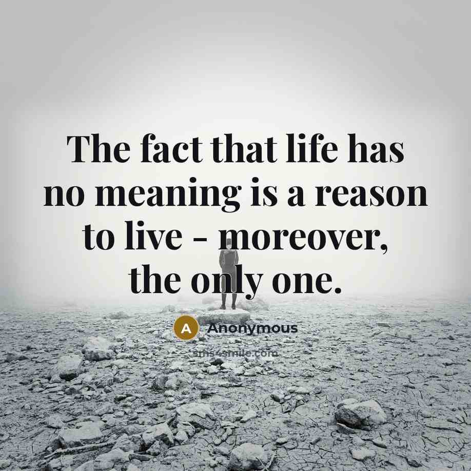 “The fact that life has no meaning is a reason…” quote by Anonymous
