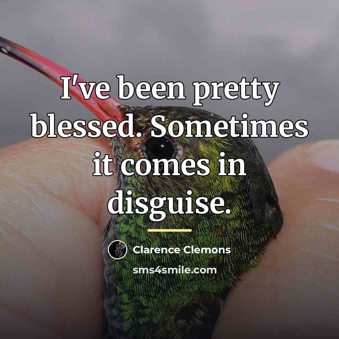 “I've been pretty blessed. Sometimes it comes in disguise.…” quote by Clarence Clemons