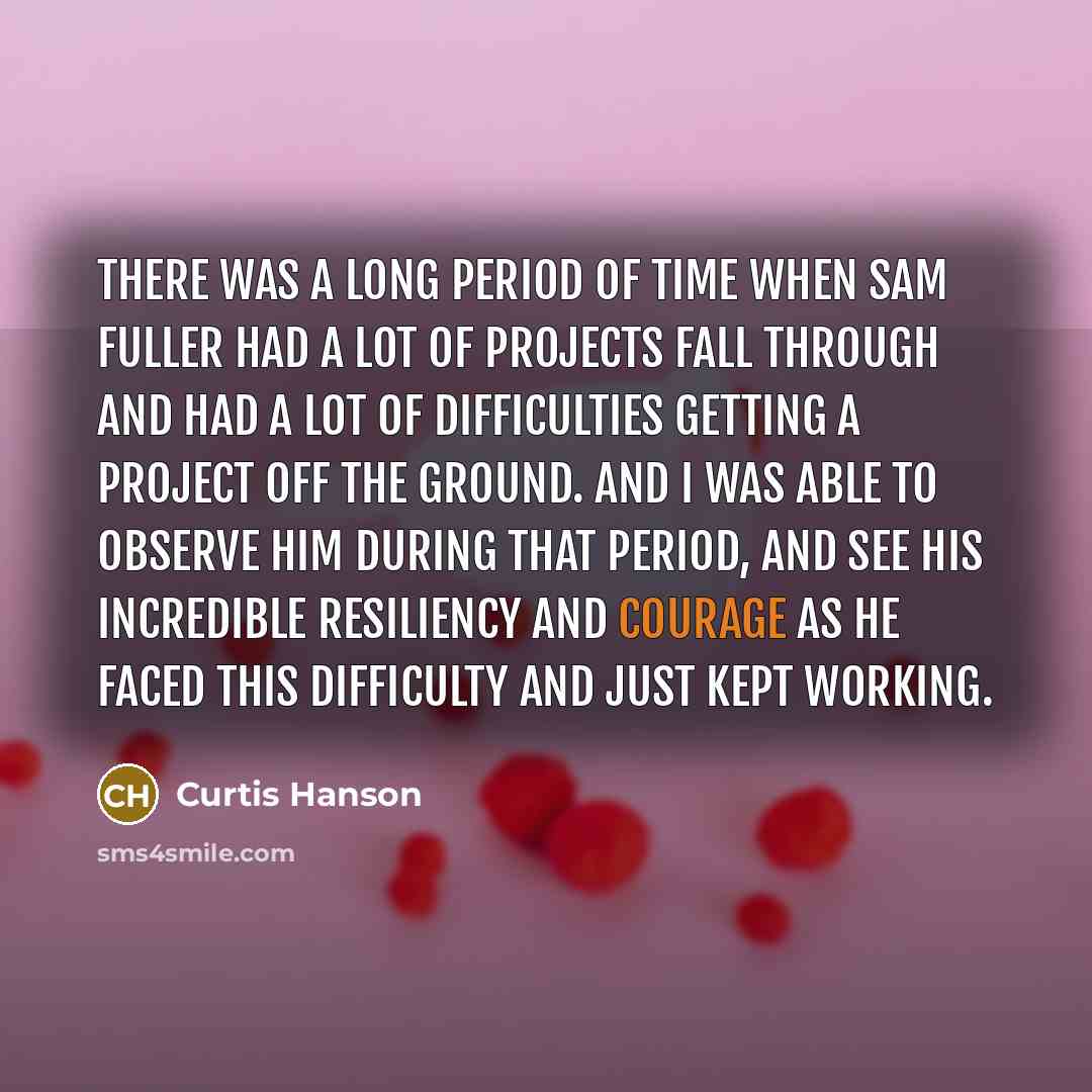 “There was a long period of time when Sam Fuller…” quote by Curtis Hanson