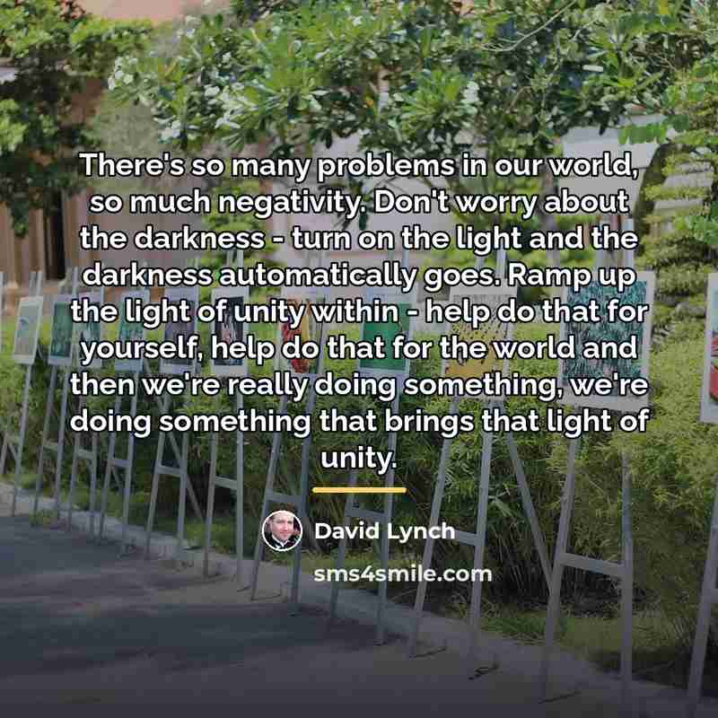 “There's so many problems in our world, so much negativity.…” quote by David Lynch