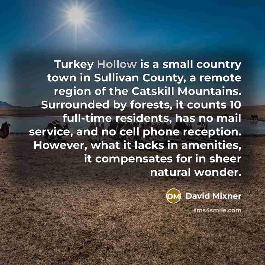 “Turkey Hollow is a small country town in Sullivan County,…” quote by David Mixner