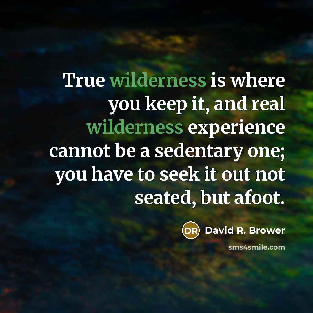 “True wilderness is where you keep it, and real wilderness…” quote by David R. Brower