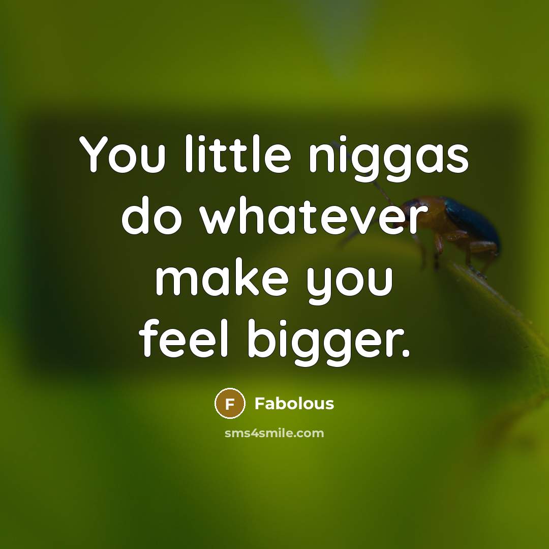 “You little niggas do whatever make you feel bigger.…” quote by Fabolous