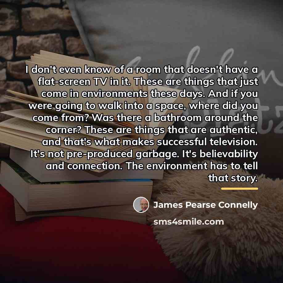 “I don't even know of a room that doesn't have…” quote by James Pearse Connelly