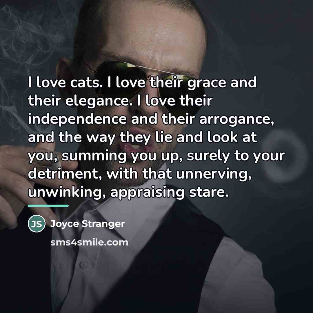 “I love cats. I love their grace and their elegance.…” quote by Joyce Stranger