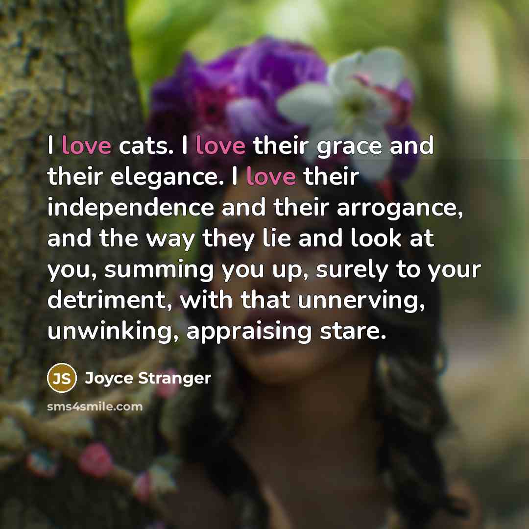 “I love cats. I love their grace and their elegance. I love their independence and their arrogance, and the way they lie and look at you, summing you up, surely to your detriment, with that unnerving, unwinking, appraising stare.” quote by Joyce Stranger