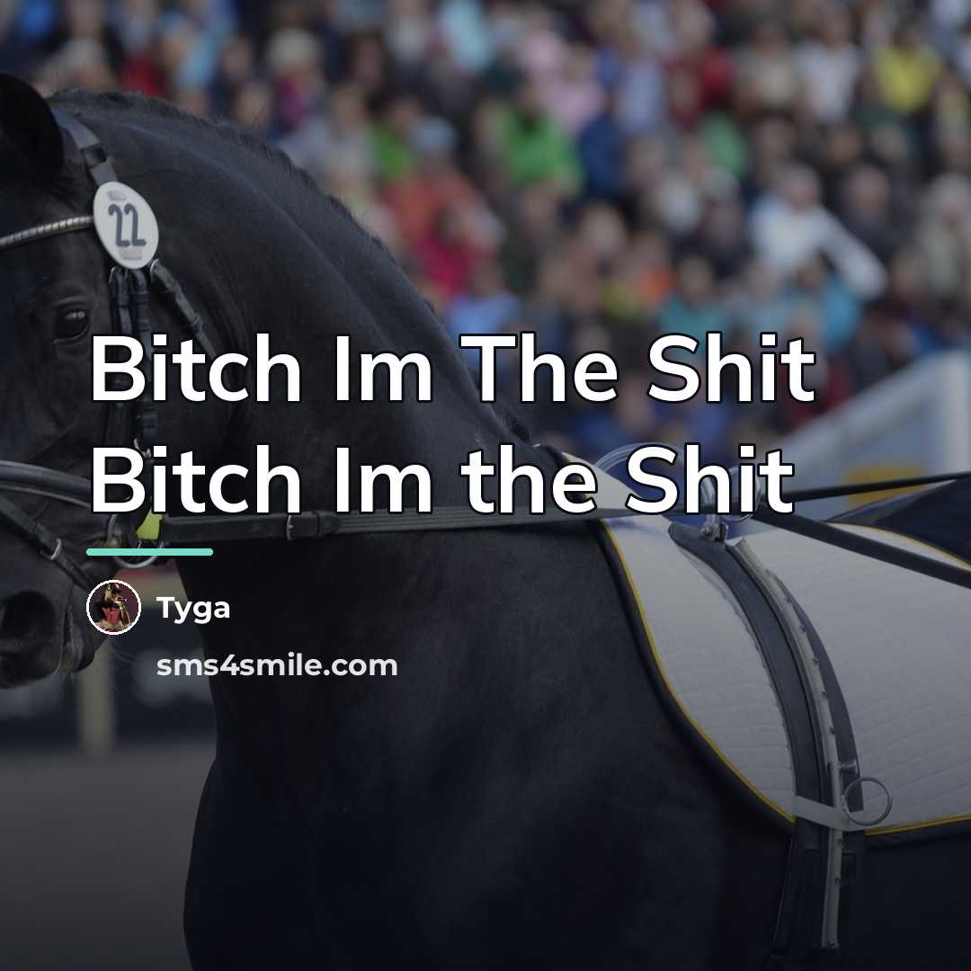 “Bitch Im The Shit Bitch Im the Shit…” quote by Tyga