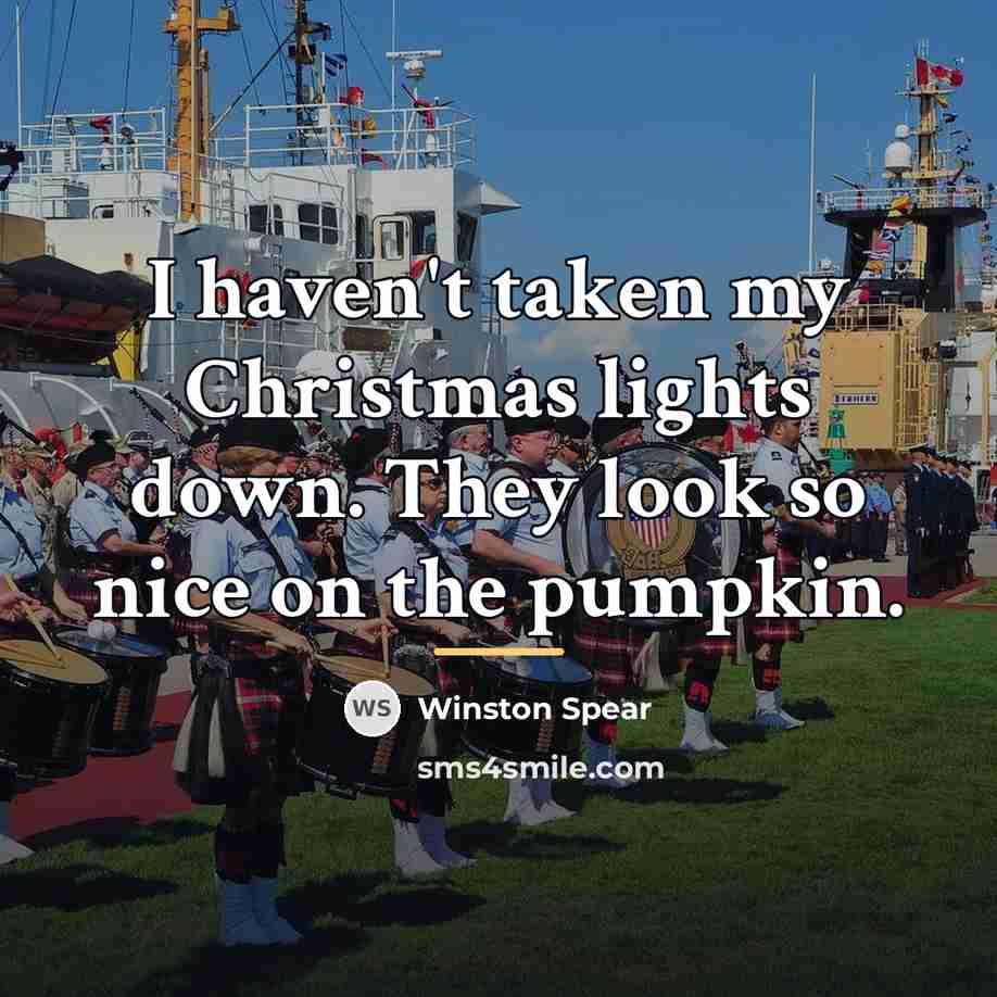 “I haven't taken my Christmas lights down. They look so…” quote by Winston Spear