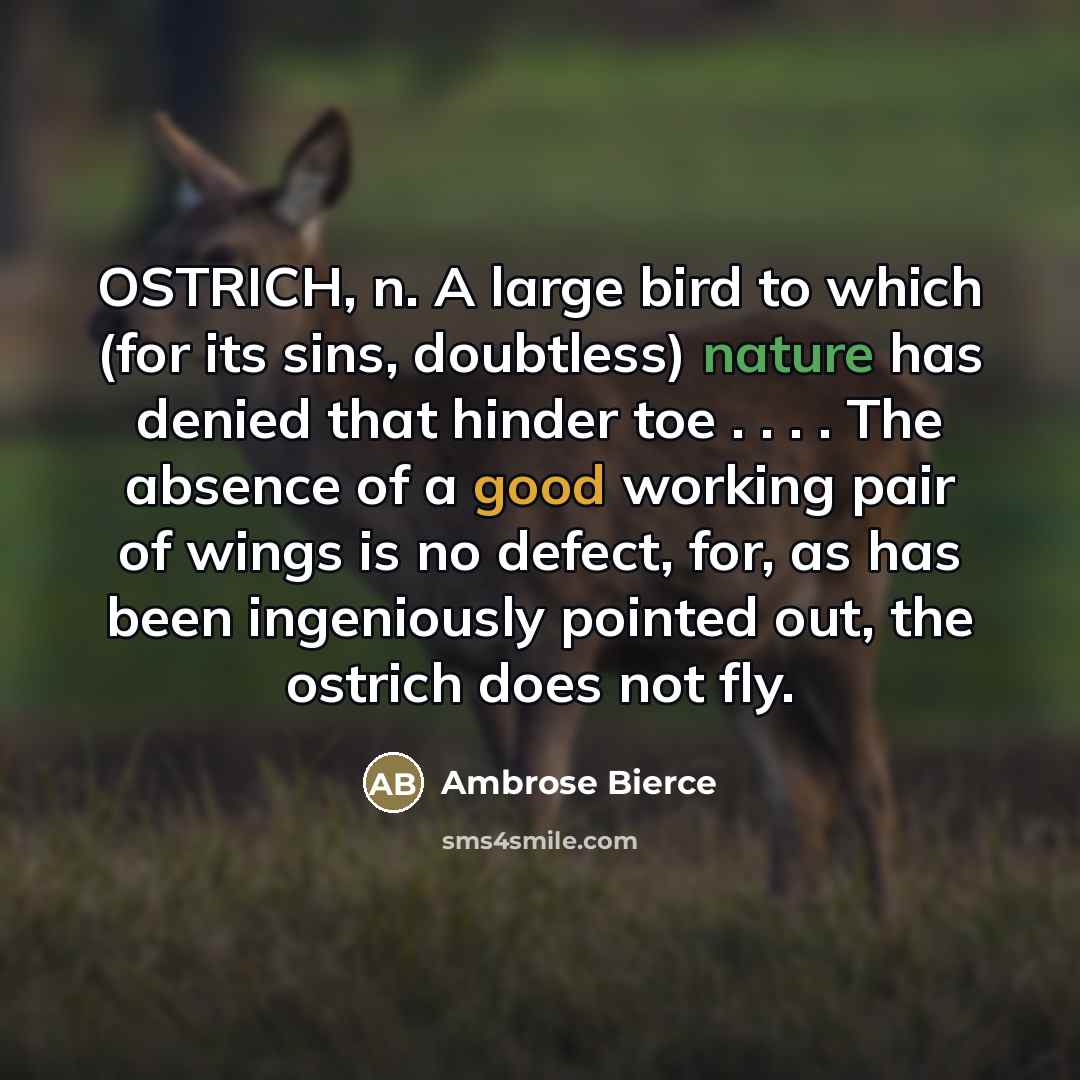 “OSTRICH, n. A large bird to which (for its sins,…” quote by Ambrose Bierce
