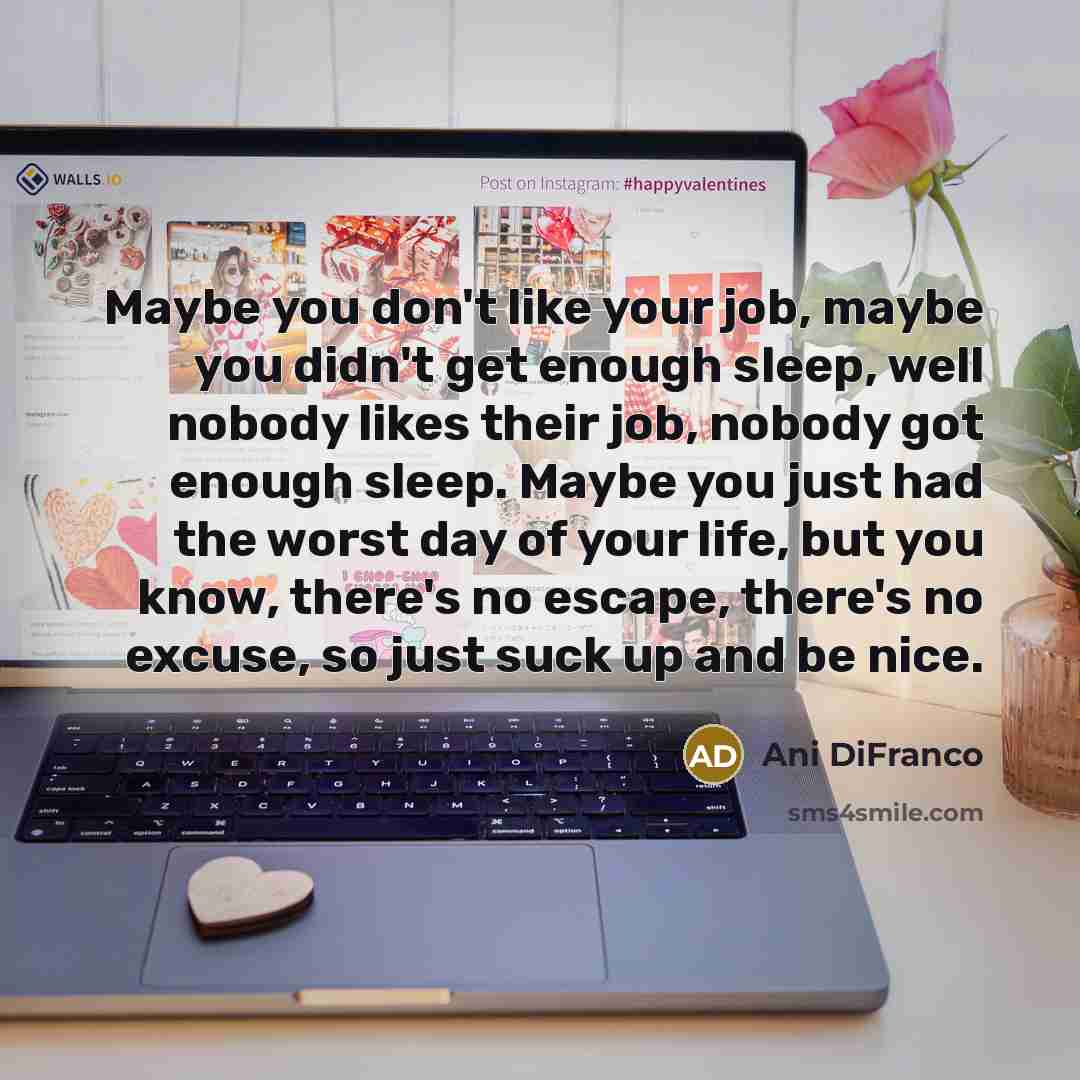 “Maybe you don't like your job, maybe you didn't get…” quote by Ani DiFranco