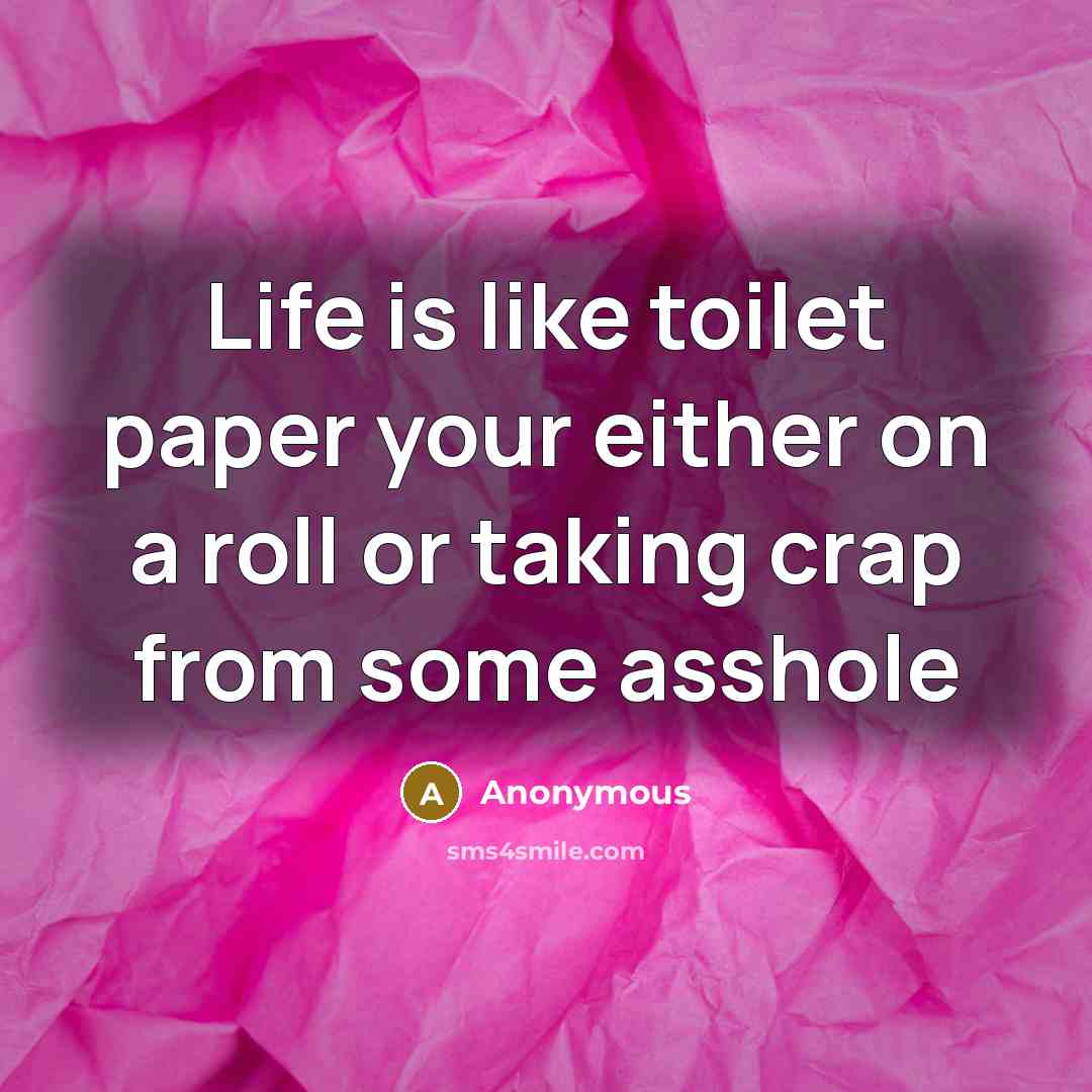 “Life is like toilet paper your either on a roll…” quote by Anonymous