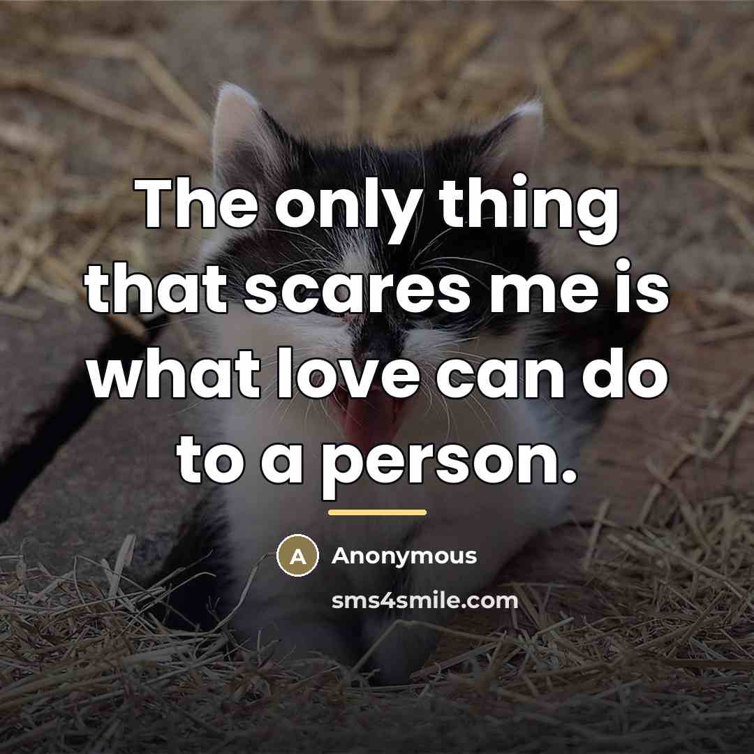 “The only thing that scares me is what love can…” quote by Anonymous