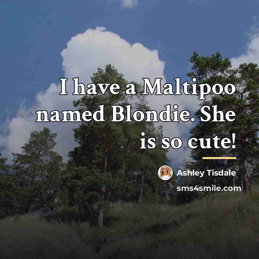 “I have a Maltipoo named Blondie. She is so cute!…” quote by Ashley Tisdale