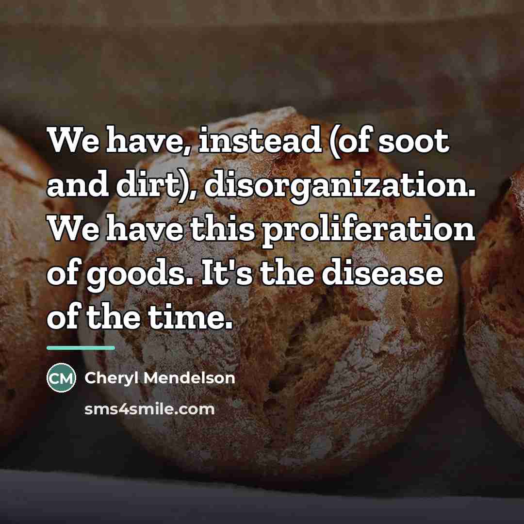 “We have, instead (of soot and dirt), disorganization. We have…” quote by Cheryl Mendelson
