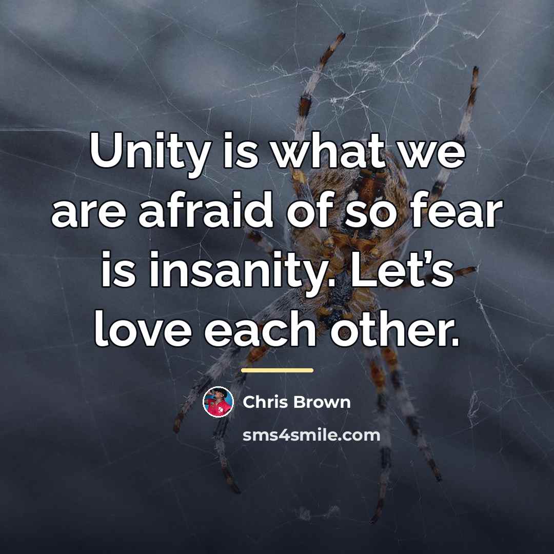 “Unity is what we are afraid of so fear is…” quote by Chris Brown