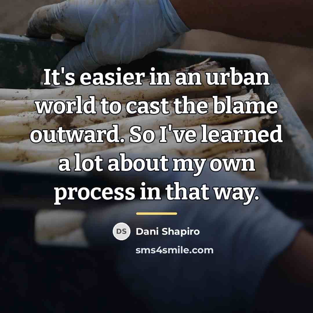 “It's easier in an urban world to cast the blame…” quote by Dani Shapiro