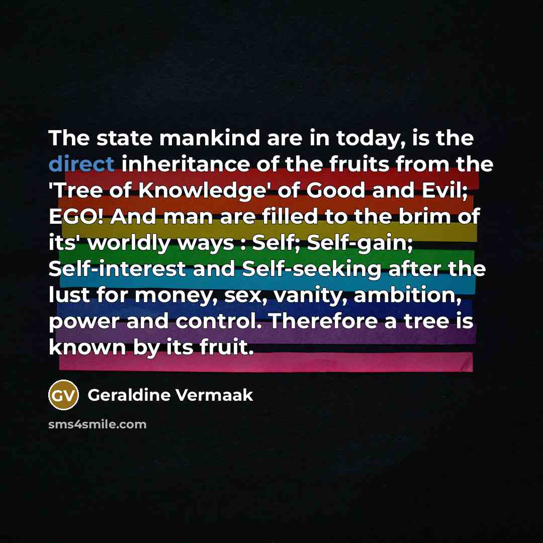 “The state mankind are in today, is the direct inheritance…” quote by Geraldine Vermaak