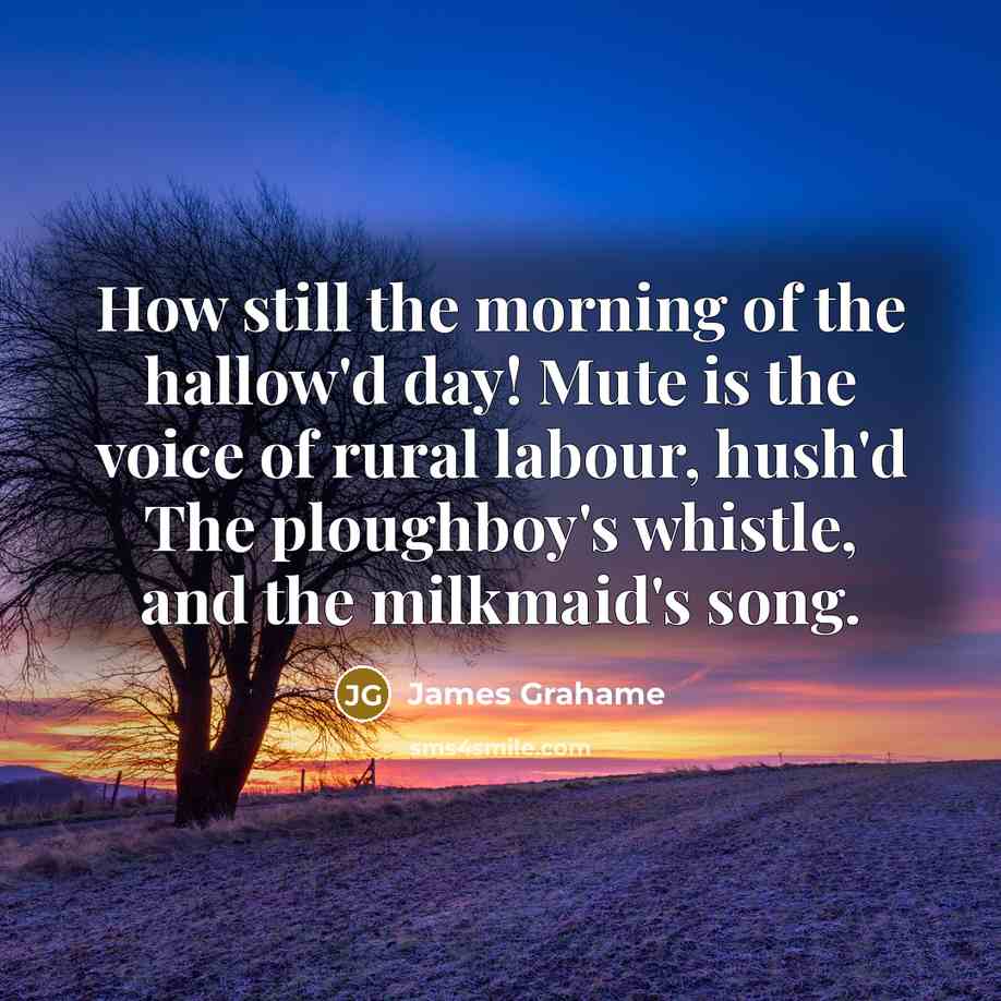 “How still the morning of the hallow'd day! Mute is…” quote by James Grahame