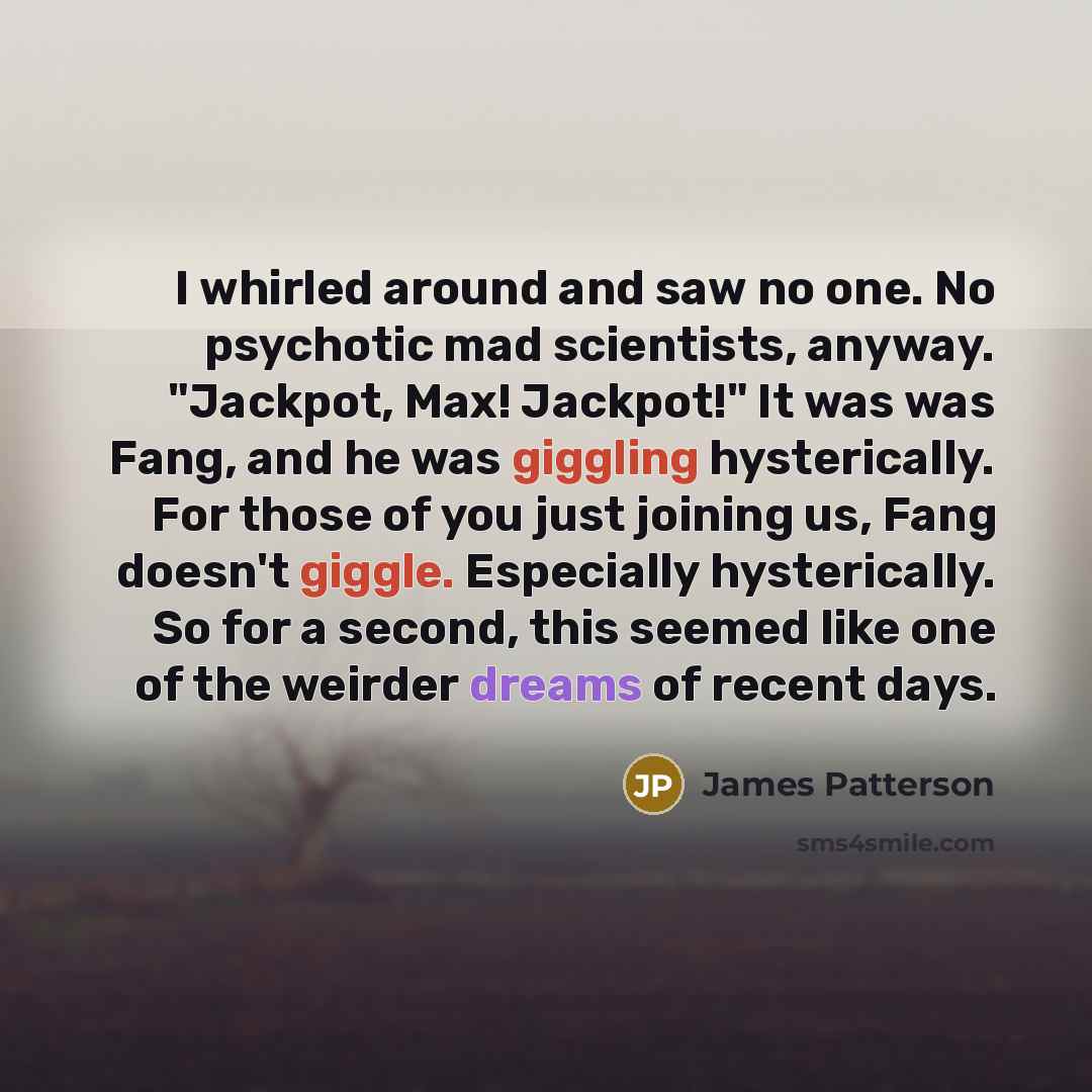 “I whirled around and saw no one. No psychotic mad…” quote by James Patterson
