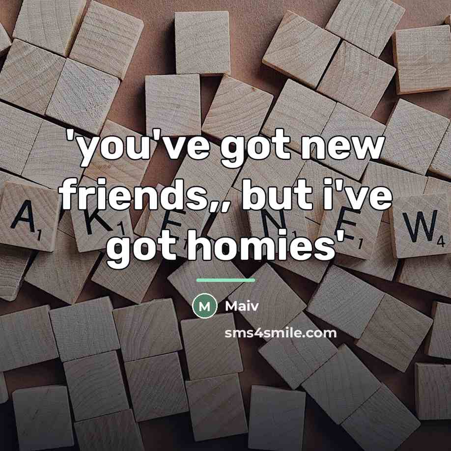 “'you've got new friends,, but i've got homies'…” quote by Maiv
