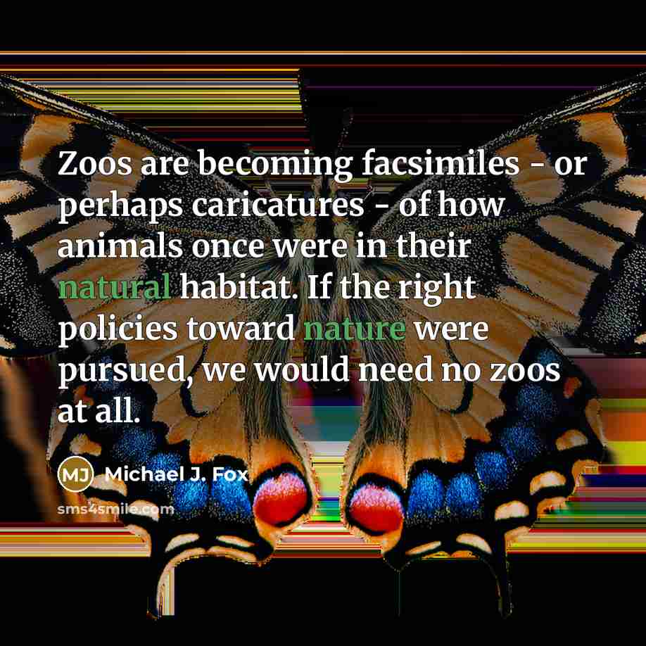 “Zoos are becoming facsimiles - or perhaps caricatures - of how animals once were in their natural habitat. If the right policies toward nature were pursued, we would need no zoos at all.” quote by Michael J. Fox