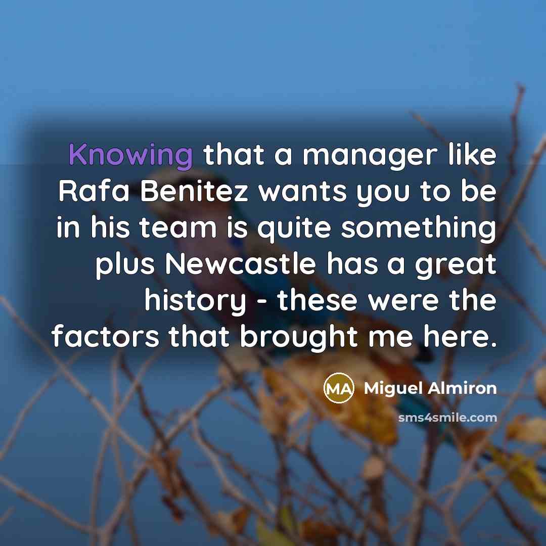 “Knowing that a manager like Rafa Benitez wants you to…” quote by Miguel Almiron