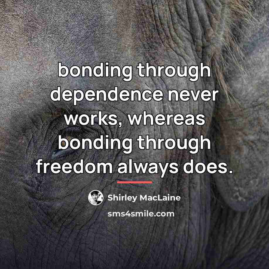 “bonding through dependence never works, whereas bonding through freedom always…” quote by Shirley MacLaine