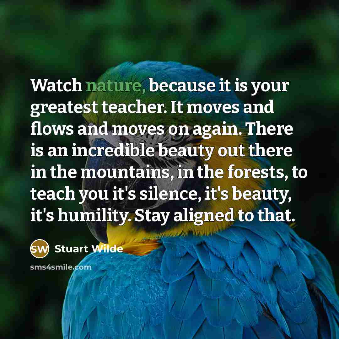“Watch nature, because it is your greatest teacher. It moves…” quote by Stuart Wilde