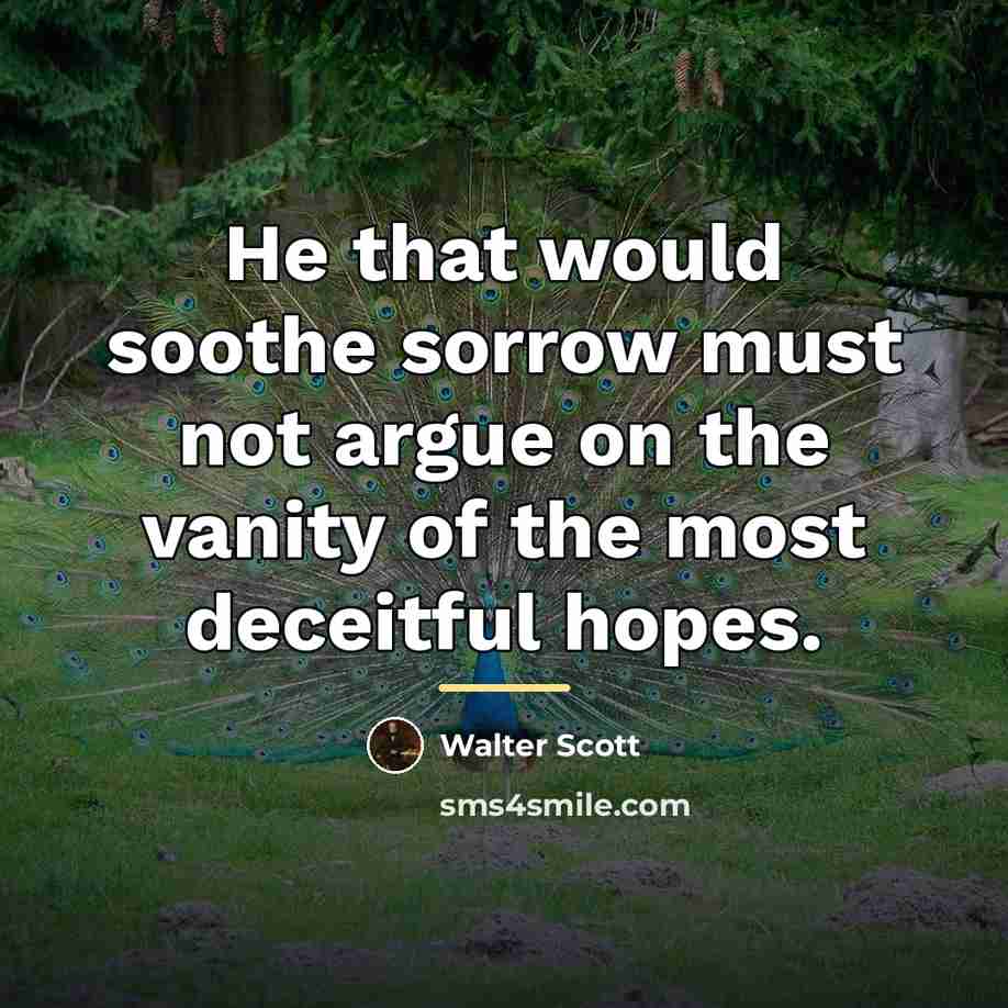 “He that would soothe sorrow must not argue on the…” quote by Walter Scott