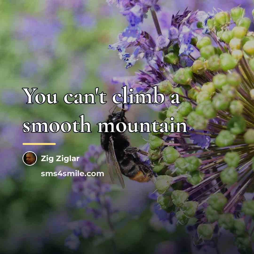 “You can't climb a smooth mountain…” quote by Zig Ziglar