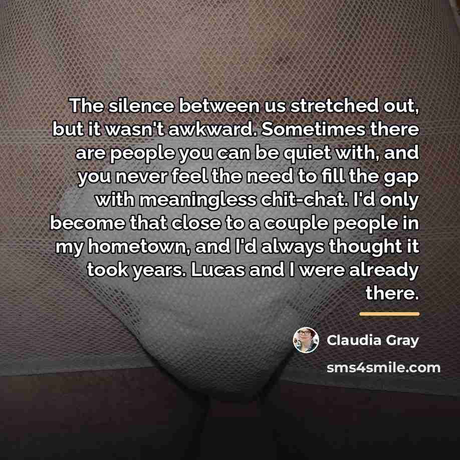 “The silence between us stretched out, but it wasn't awkward.…” quote by Claudia Gray