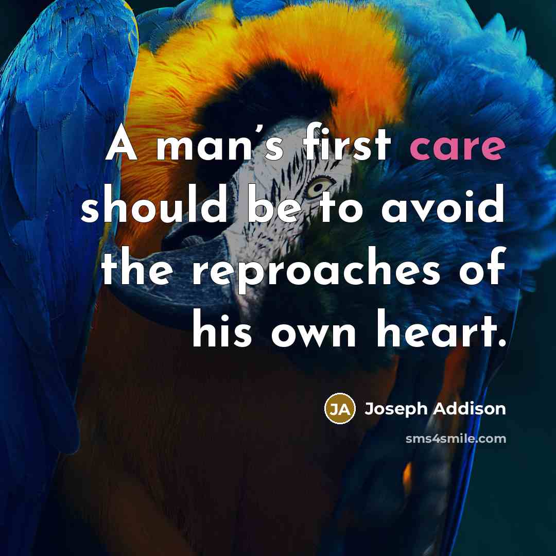 “A man’s first care should be to avoid the reproaches…” quote by Joseph Addison