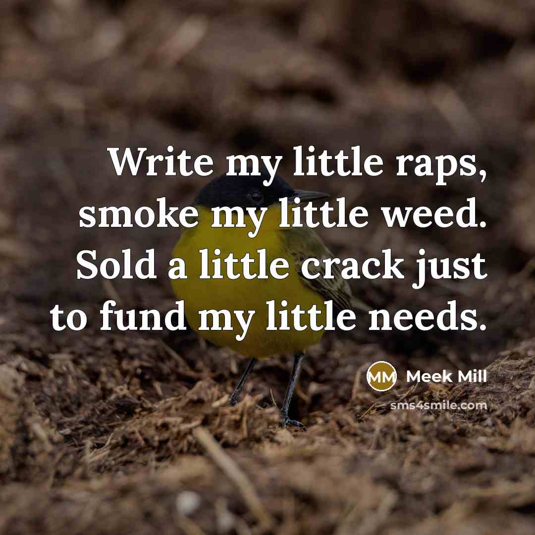 “Write my little raps, smoke my little weed. Sold a…” quote by Meek Mill
