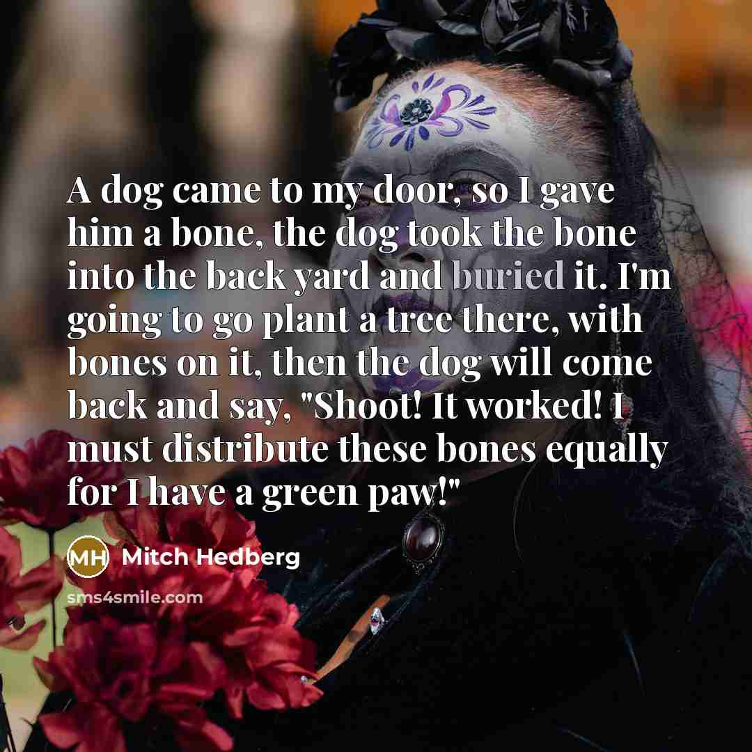 “A dog came to my door, so I gave him…” quote by Mitch Hedberg