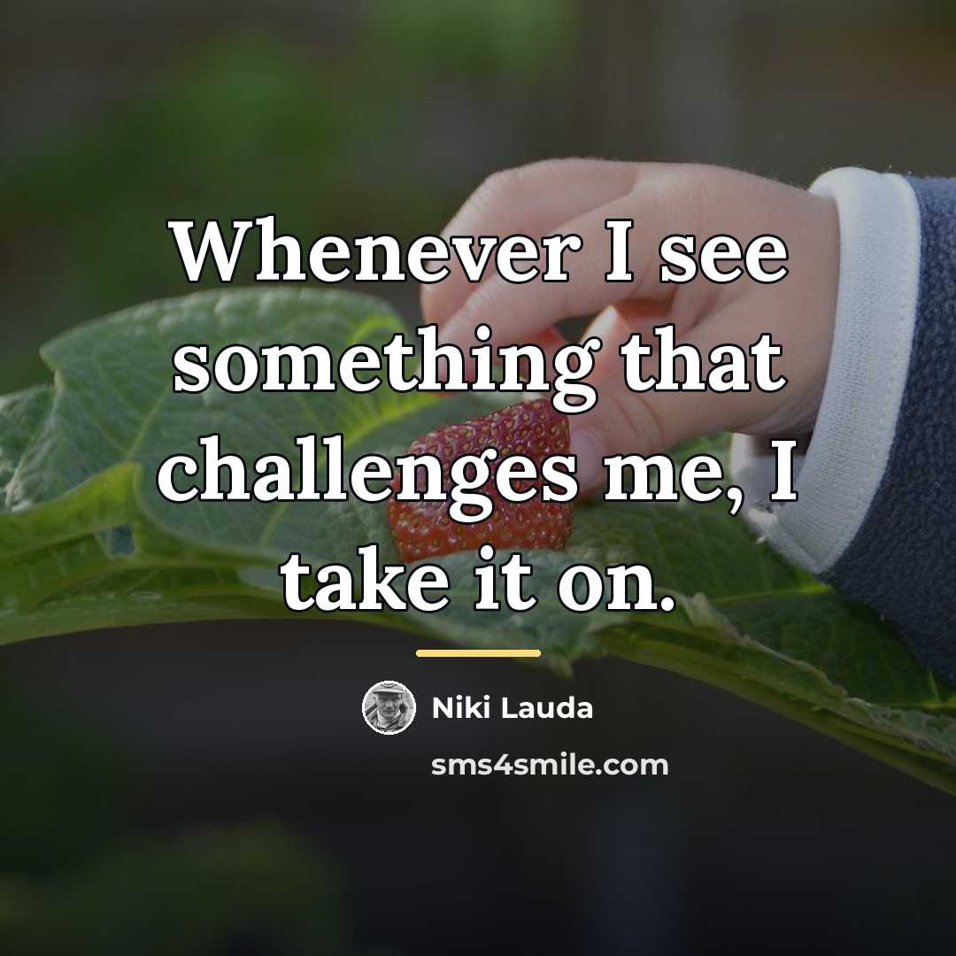“Whenever I see something that challenges me, I take it…” quote by Niki Lauda