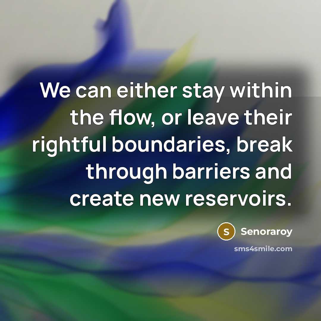 “We can either stay within the flow, or leave their…” quote by Senoraroy