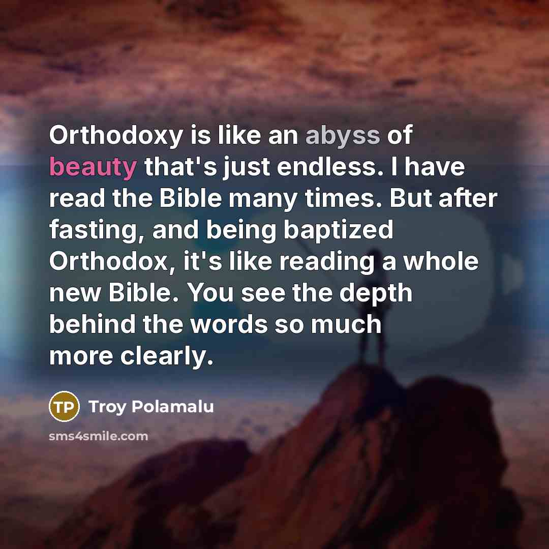 “Orthodoxy is like an abyss of beauty that's just endless.…” quote by Troy Polamalu
