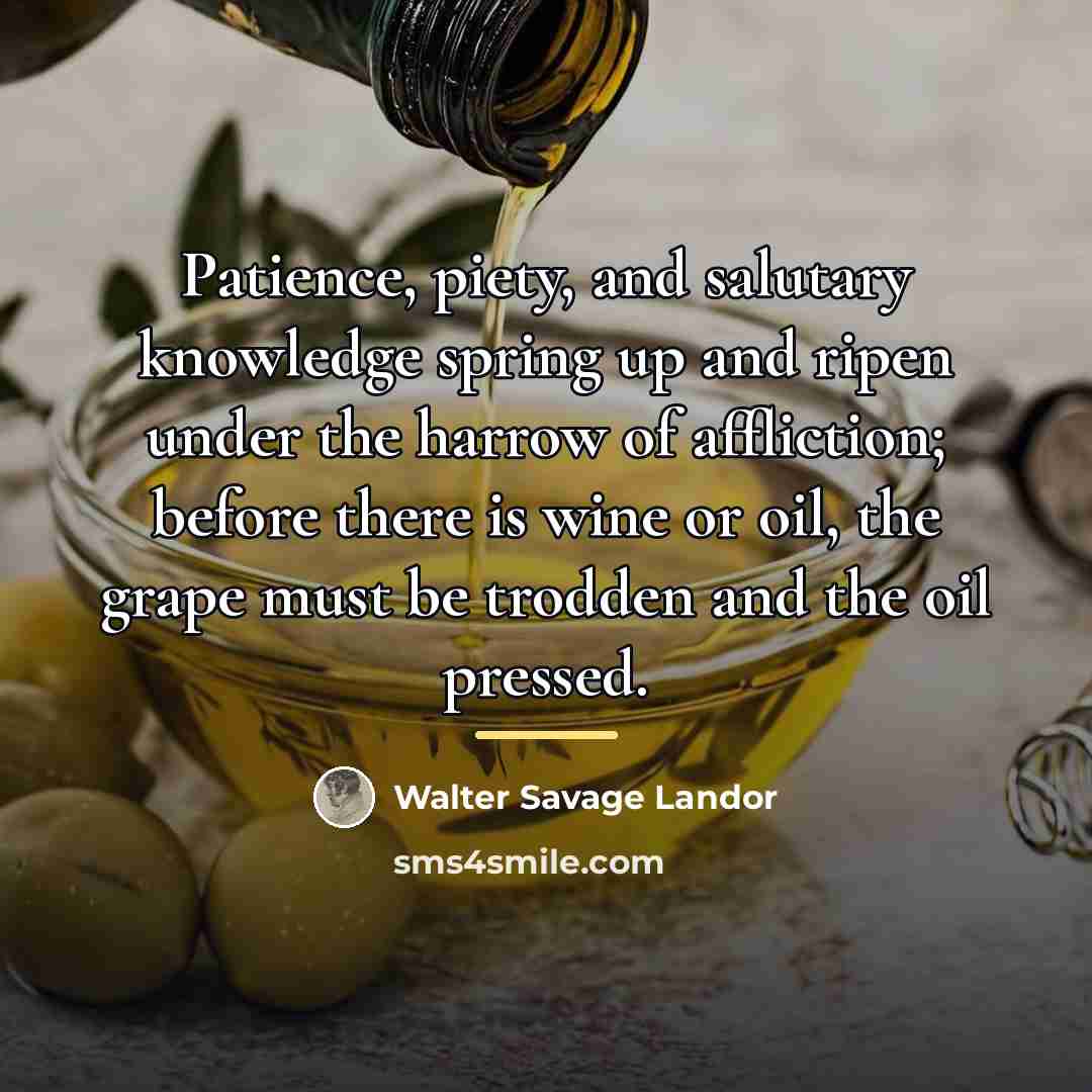 “Patience, piety, and salutary knowledge spring up and ripen under…” quote by Walter Savage Landor