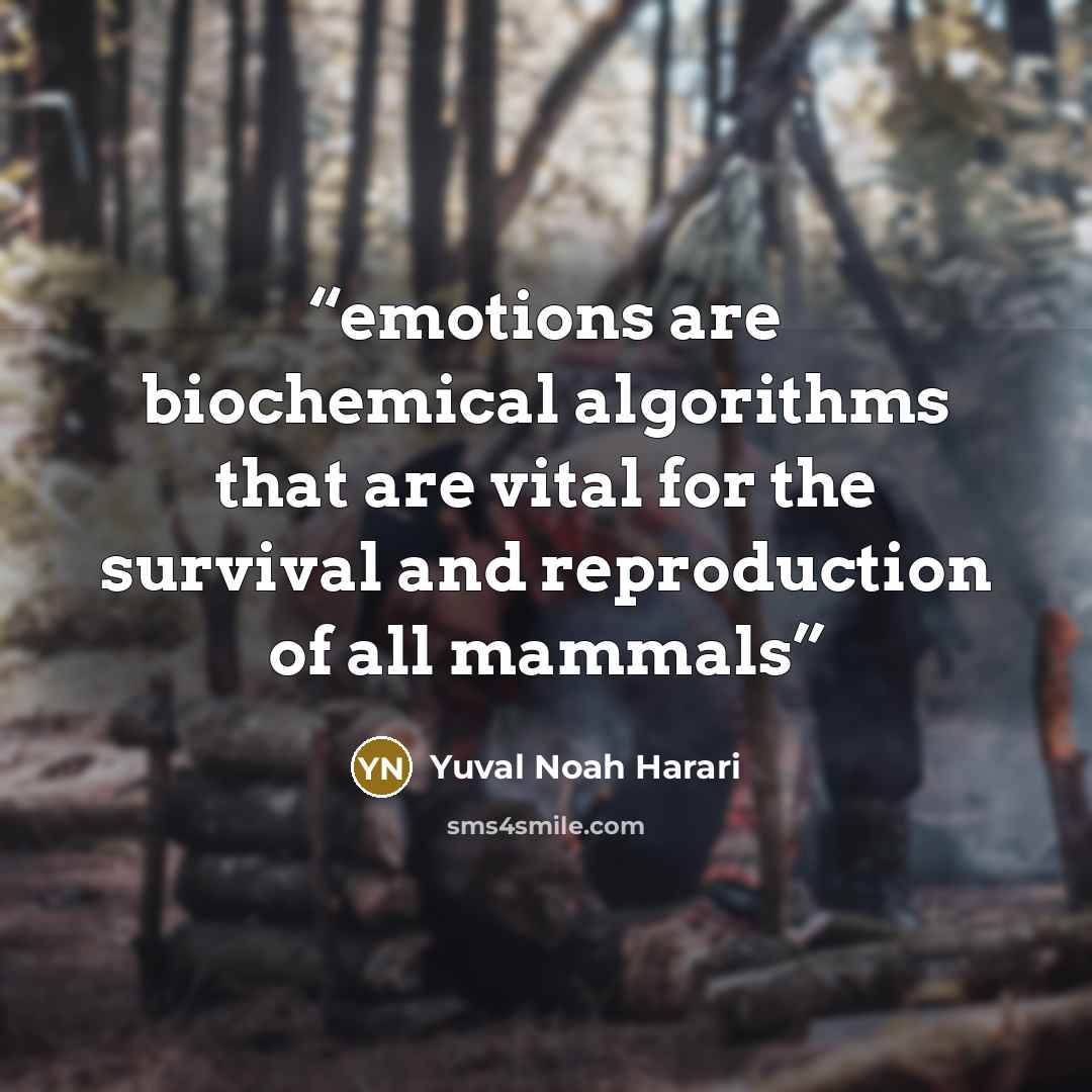 “emotions are biochemical algorithms that are vital for the survival and reproduction of all mammals” quote by Yuval Noah Harari