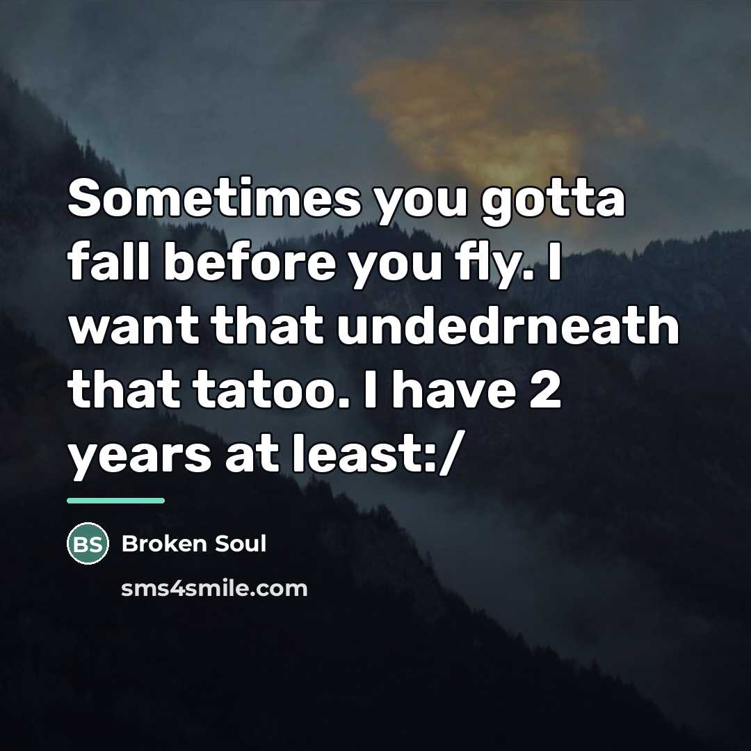 “Sometimes you gotta fall before you fly. I want that…” quote by Broken Soul