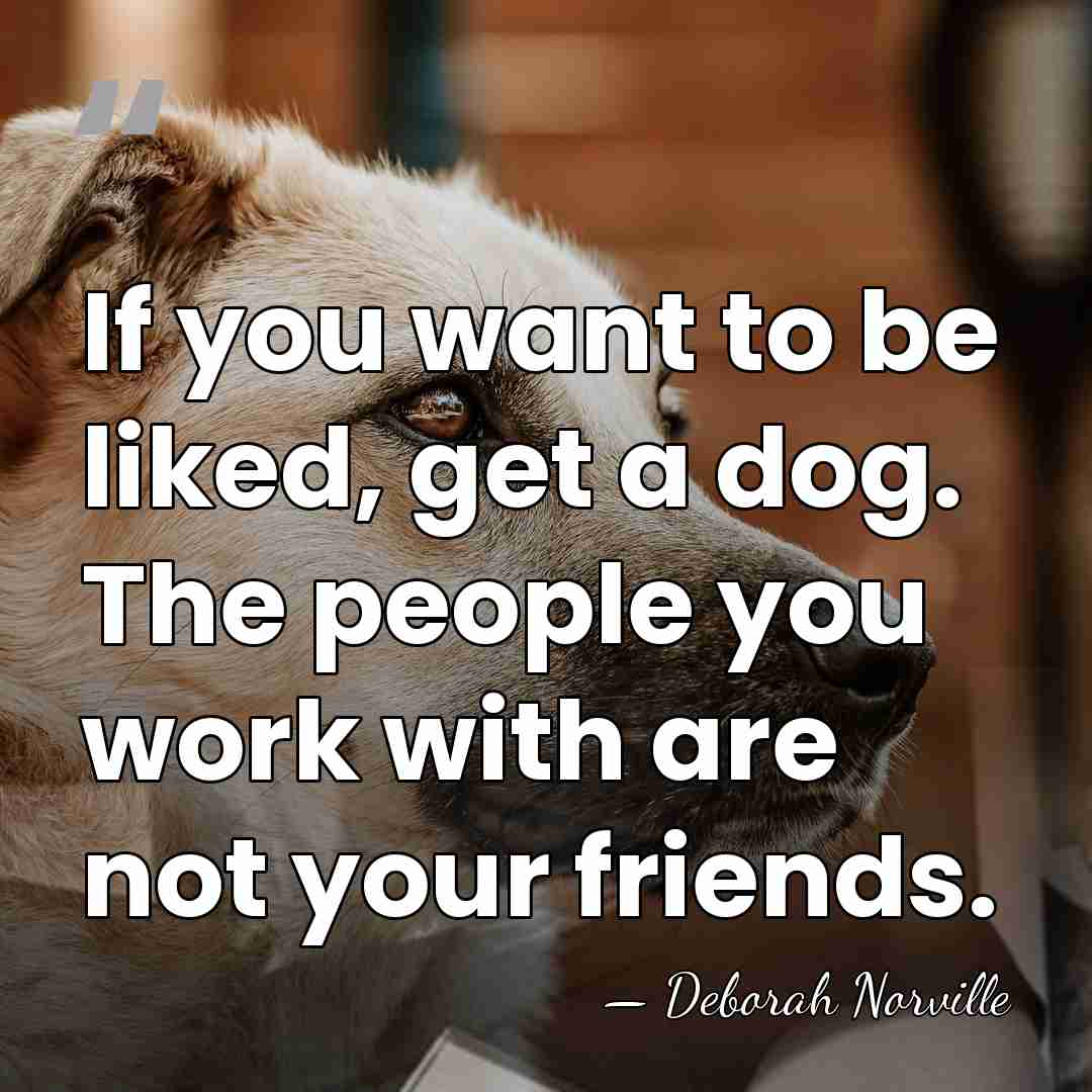 If you want to be liked, get a dog. The people you&hellip; - Deborah Norville