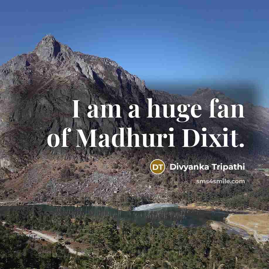 “I am a huge fan of Madhuri Dixit.…” quote by Divyanka Tripathi