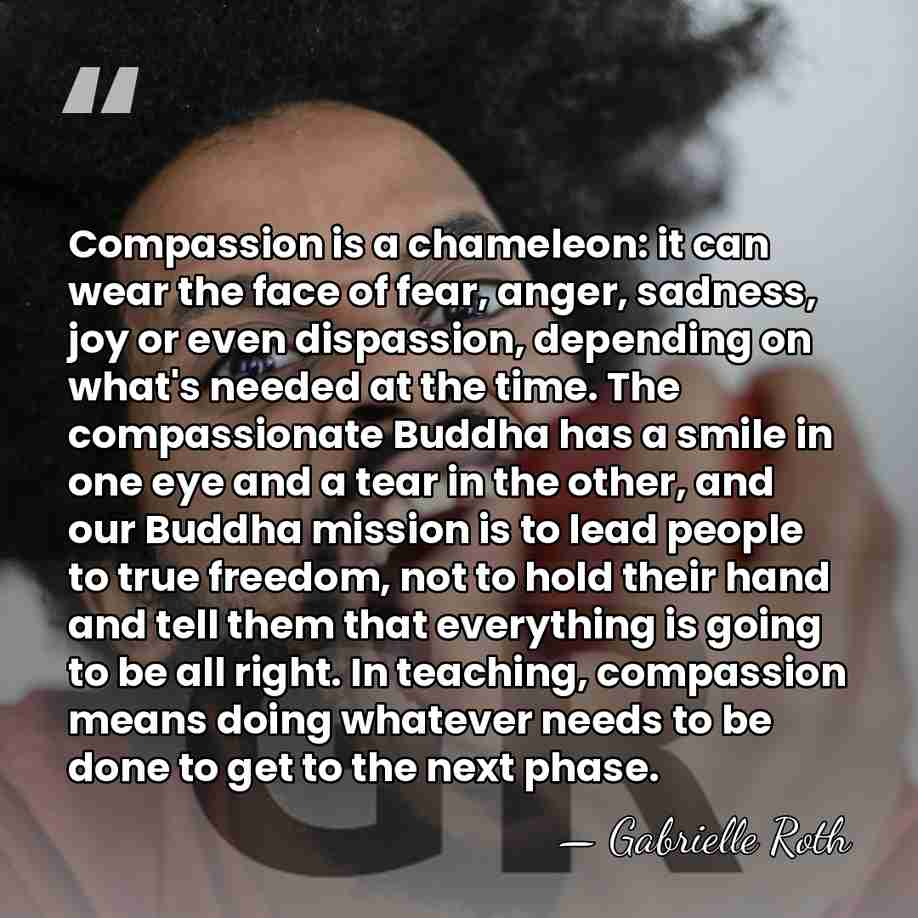 Compassion is a chameleon: it can wear the face of fear, anger,&hellip; - Gabrielle Roth