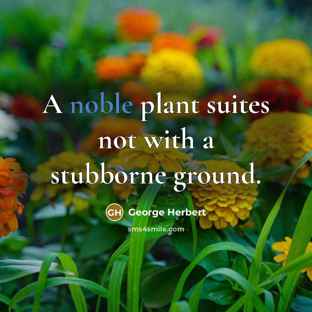 “A noble plant suites not with a stubborne ground.…” quote by George Herbert