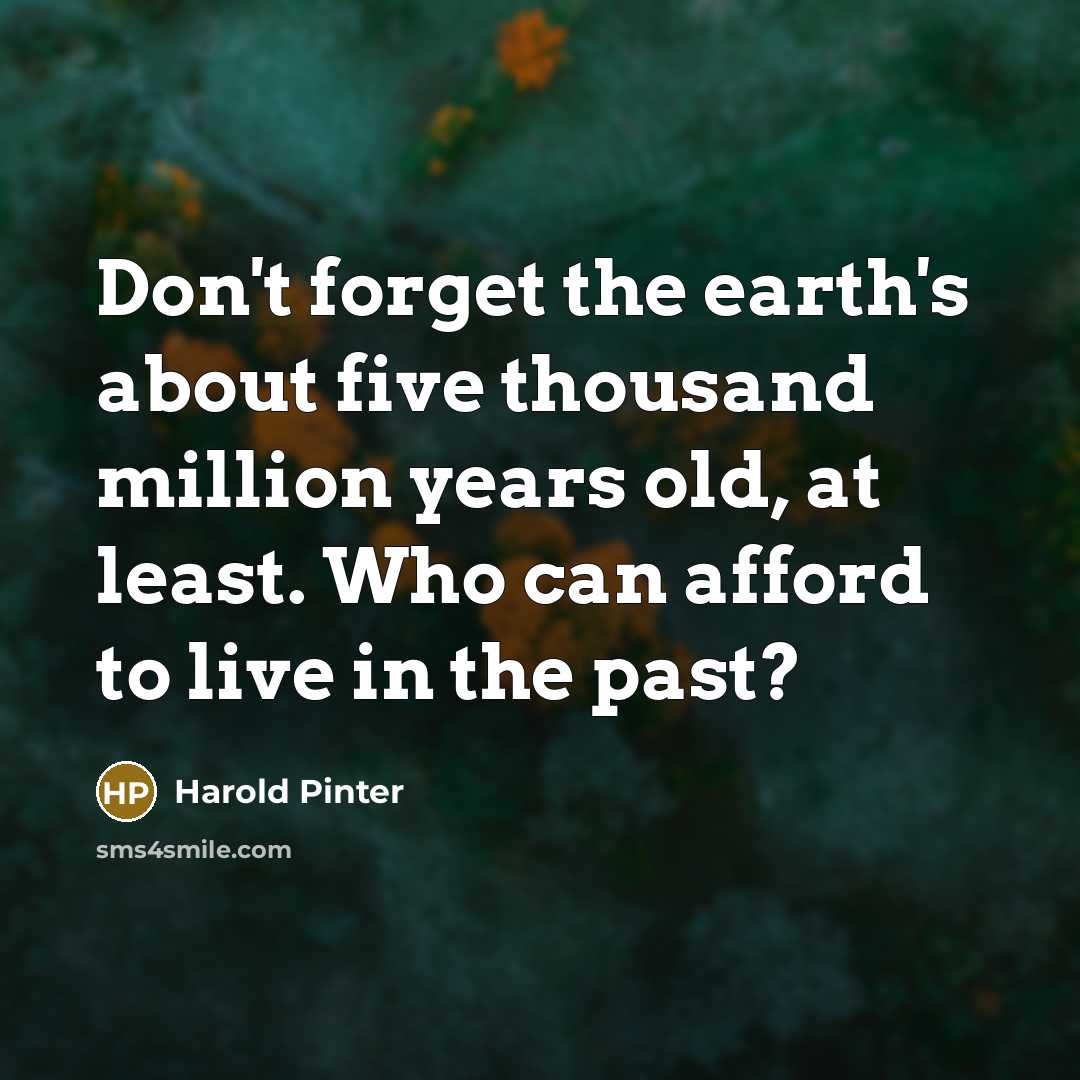 “Don't forget the earth's about five thousand million years old,…” quote by Harold Pinter