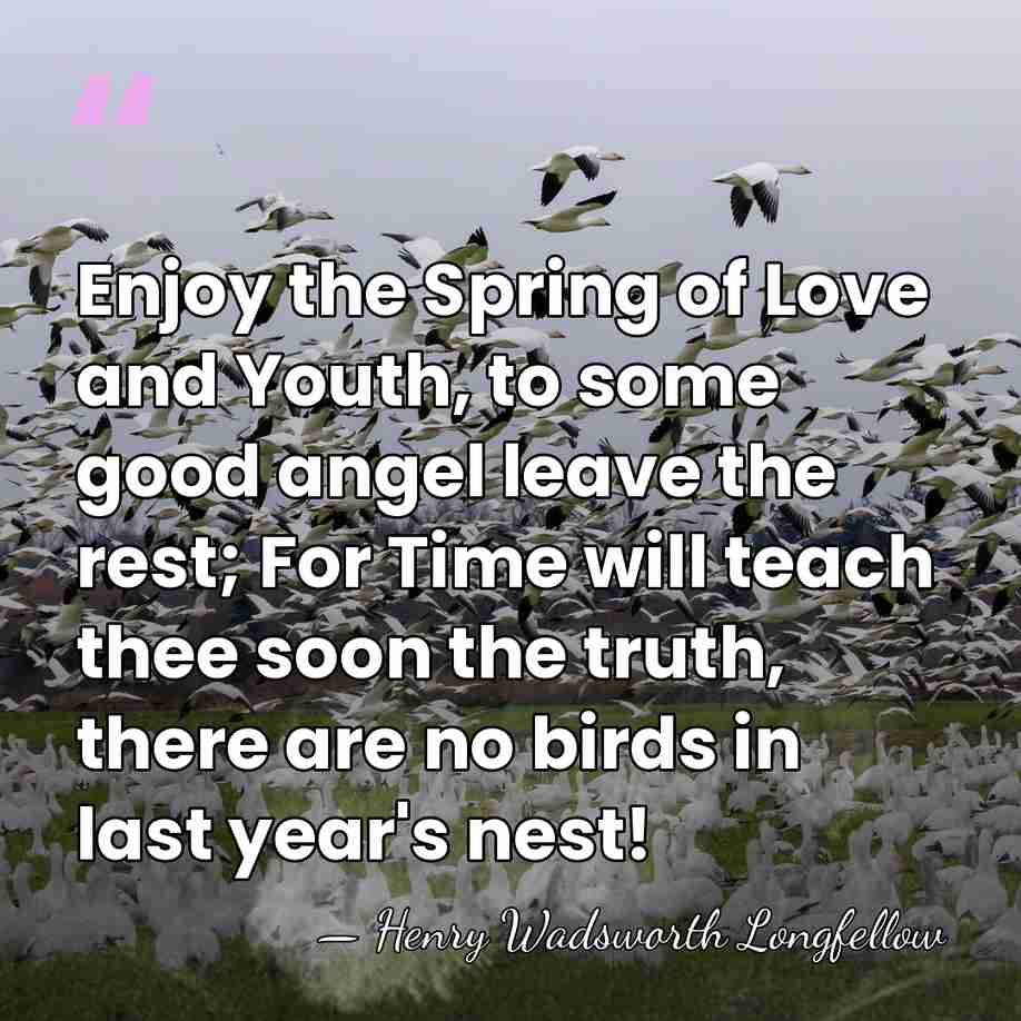 Enjoy the Spring of Love and Youth, to some good angel leave&hellip; - Henry Wadsworth Longfellow