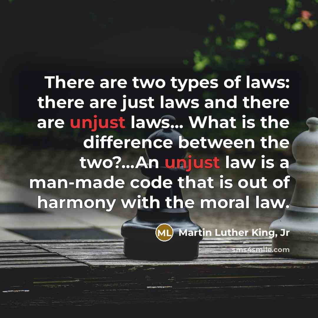 “There are two types of laws: there are just laws…” quote by Martin Luther King, Jr